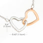 Auntie's Birthday from Niece - Interlocking Hearts Cubic Zirconia Stones Necklace with Funny Message Card - Baby Mood Lamp